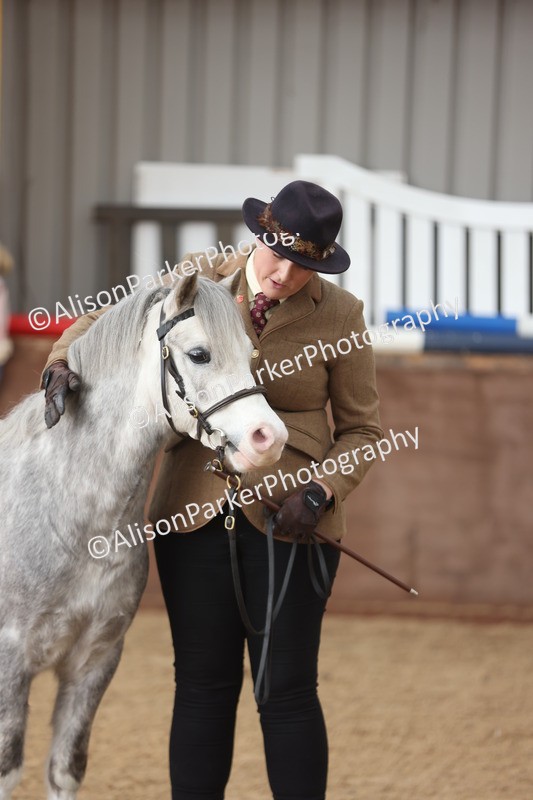 20251109-0662 - Class 22 - Geldings 4 Years and over