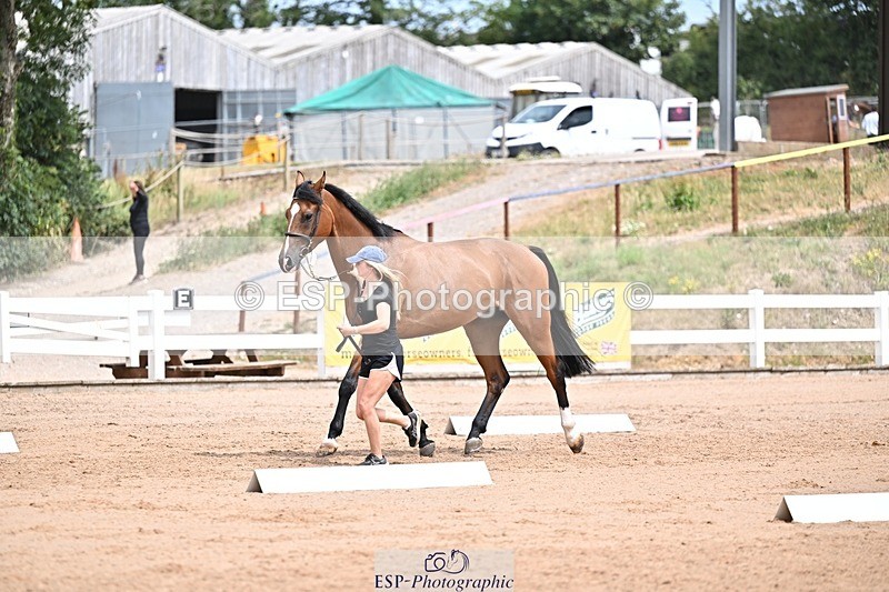 250716-132550-00508 - Trot Up 12.30 to 1.30