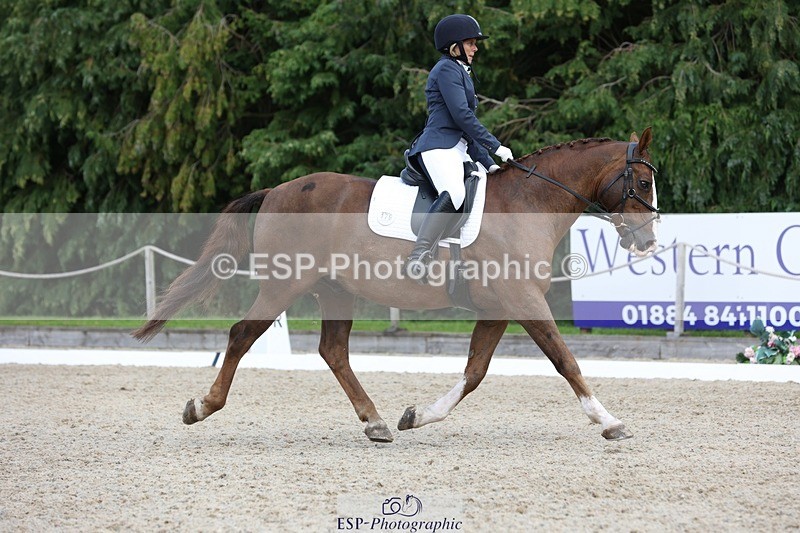 230812-134647-04310 - Cls 5 Novice Bronze 13.40 to 14.45 break