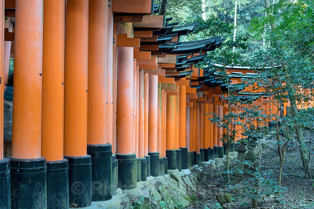  - Japan