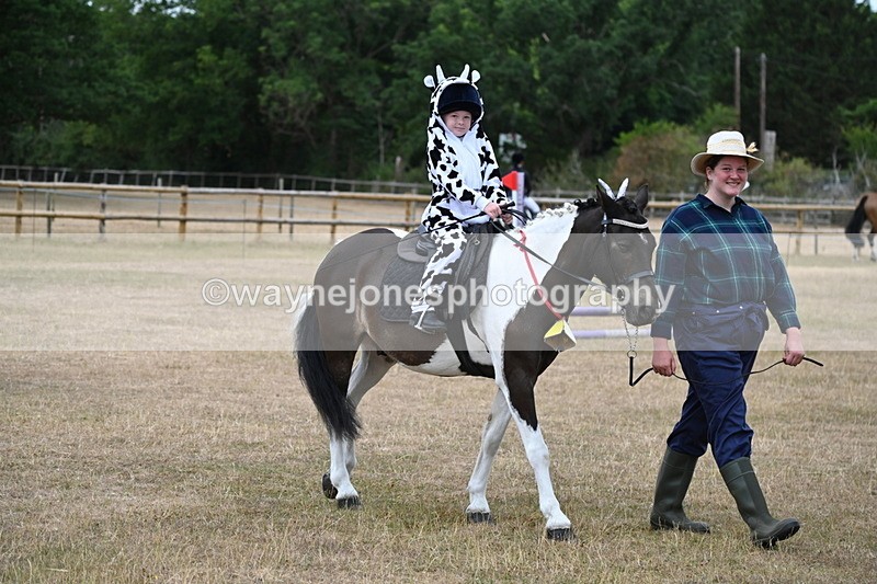 WJ6_8639 - Class 11 Fancy Dress