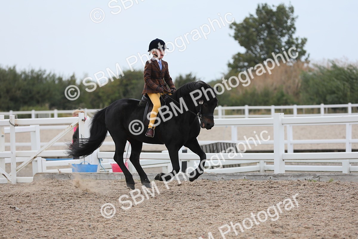 SBM_18050 - Class 316 Best Pony/Rider Combination