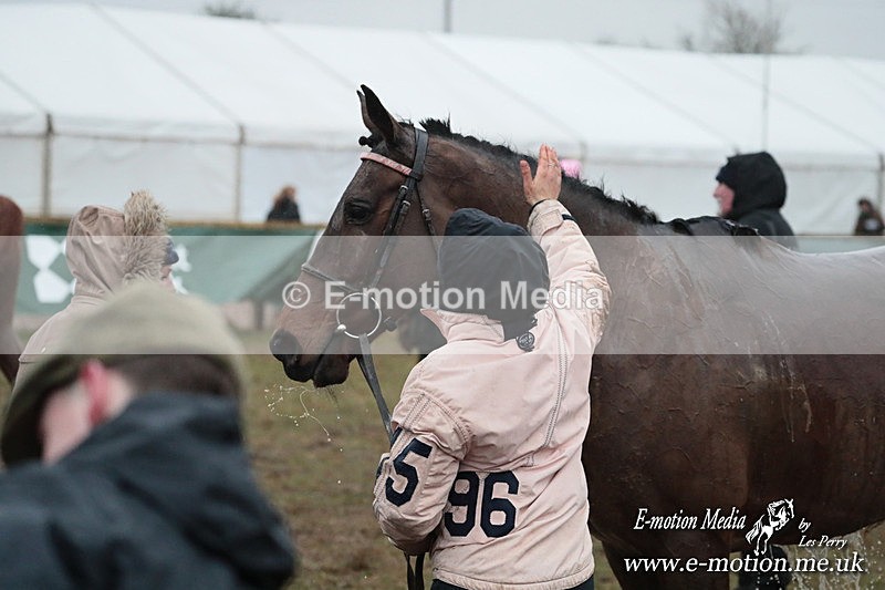 PtP 260125 937 - Cocklebarrow Point-to-Point racing with the Heythrop Hunt 26/01/25