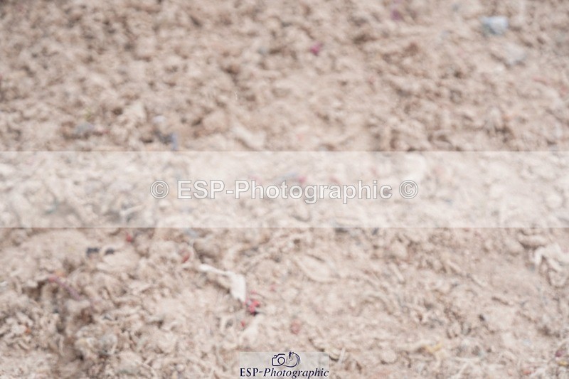 250525-150926-09705 - Cls 37 1.10m Nat Am