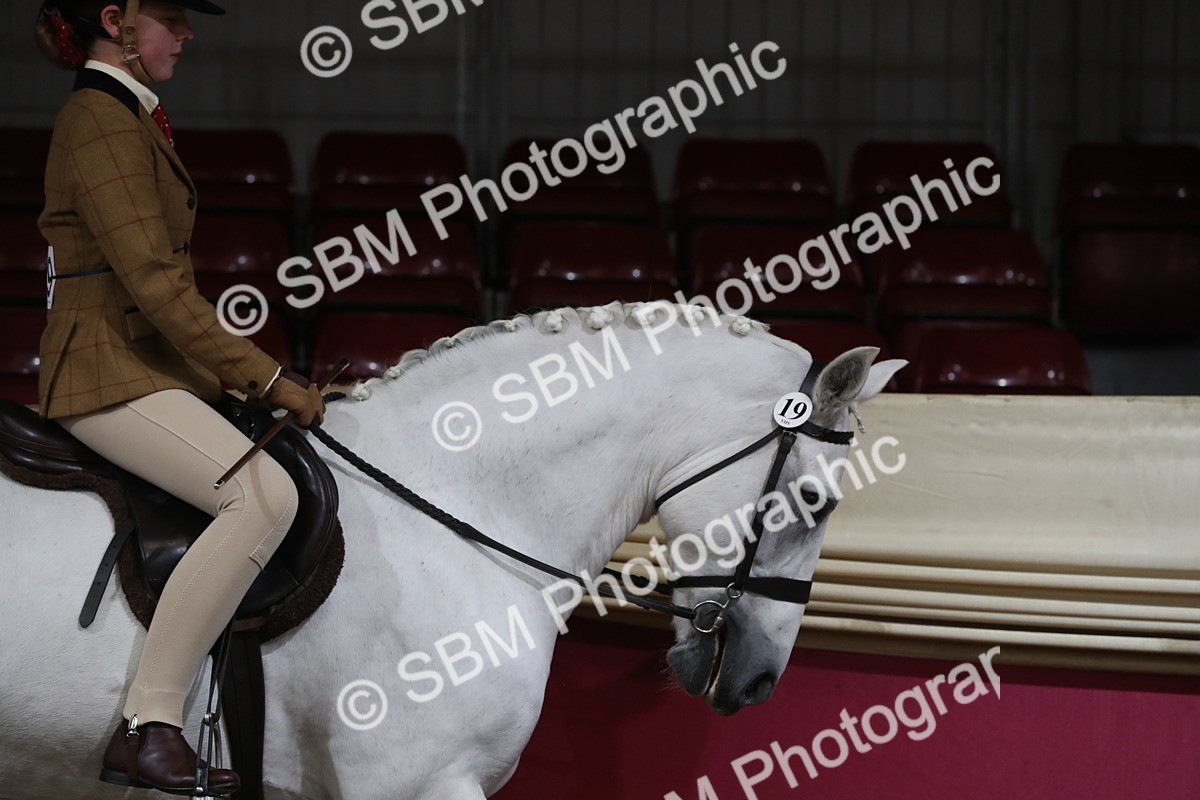 SBM_09228 - Class 101 Equitation (best rider), Junior