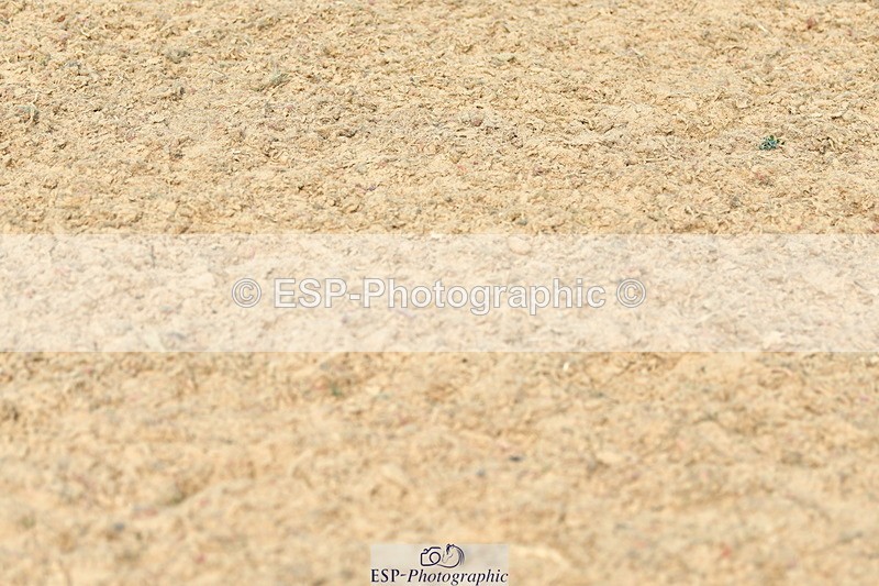 230721A-093609-04784 - Cls 26, 5 Yr Olds 1.10m