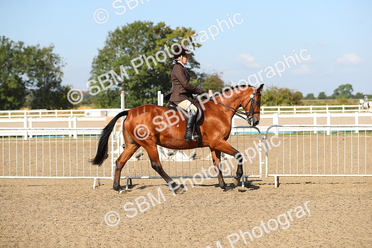 SBM_02231 - Class 43 Ridden Competition Horse/Pony