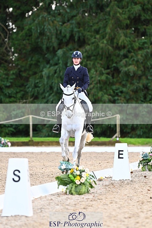 231021-160121-20995 - 262-GOOD.BOY.ALEX-Tara.Jefferies-DR