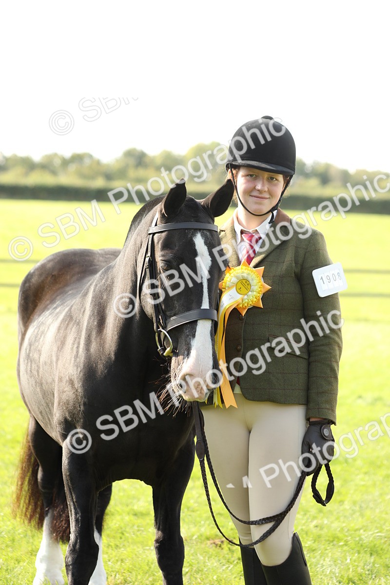 SBM_62362 - S45 - Mini Show Cob In Hand