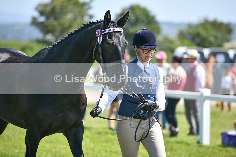 DSC_6938 - Class 58: Hunter/Riding Horse/Hack  4 yr olds +
