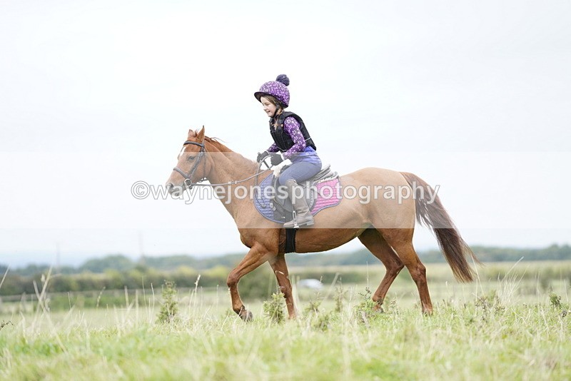 _DSC7277 - Time at Photographer 10:43 to 11:19