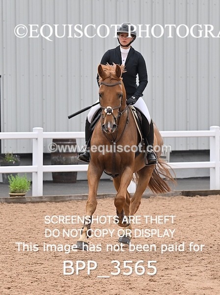 BPP_3565 - CLASS 1 WED Nupafeeds Senior Dicovery/1m open