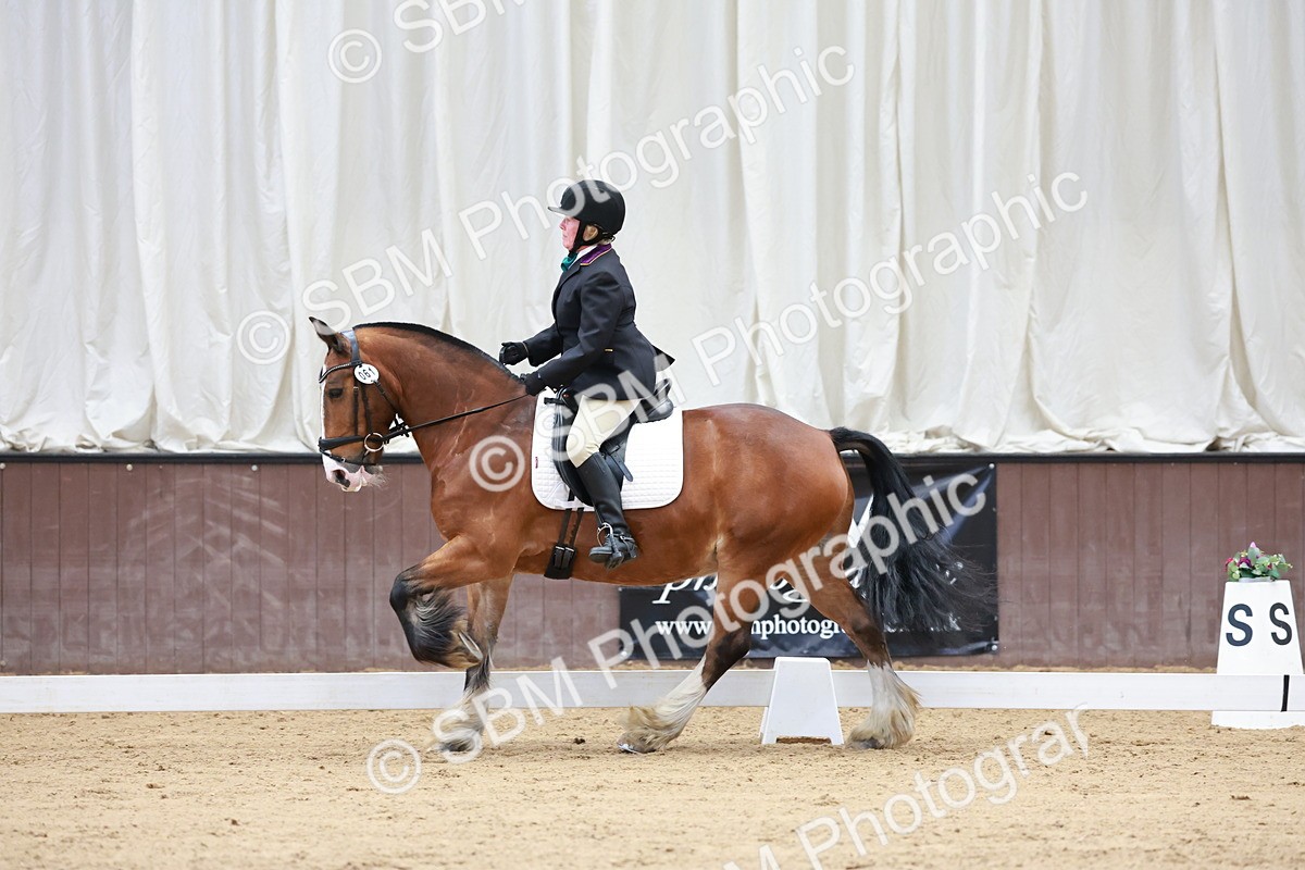 SBM_008106 - Class 6b - Novice 6 - 9.28-10.41