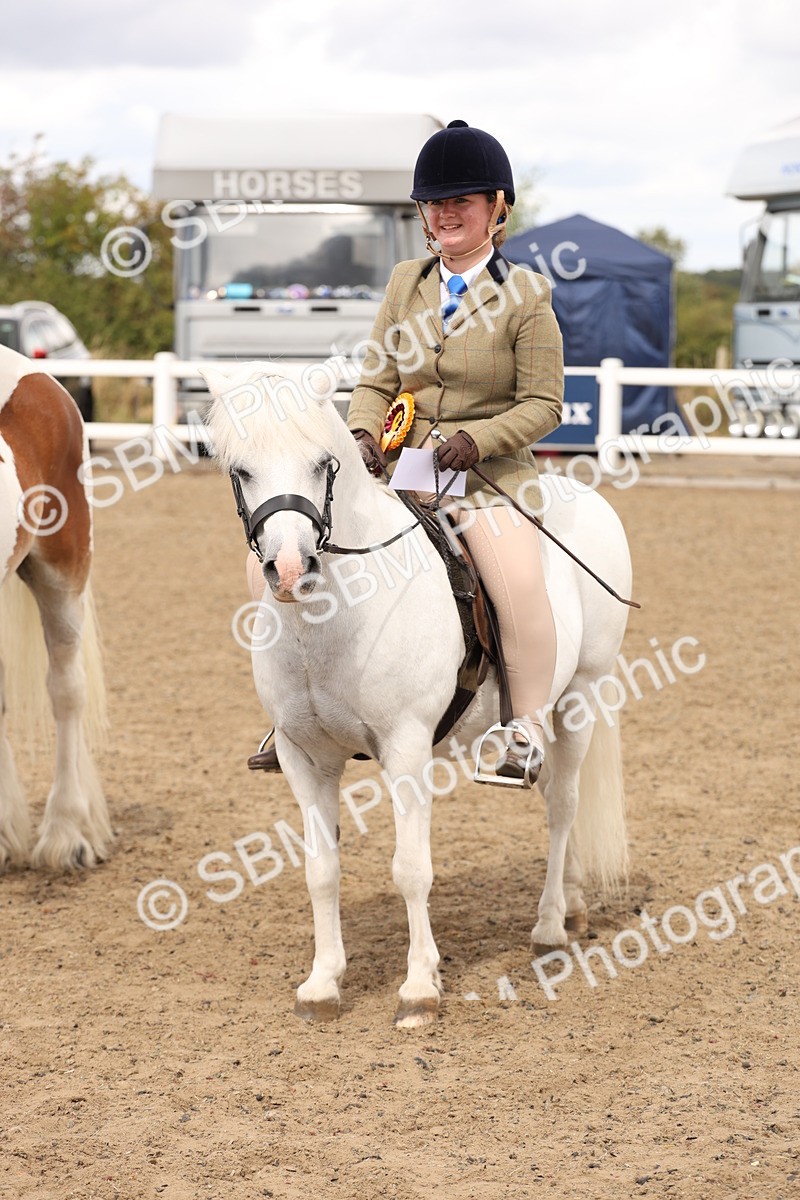 SBM_05241 - Class 56b -  Style & Performance - 50cm (20+)