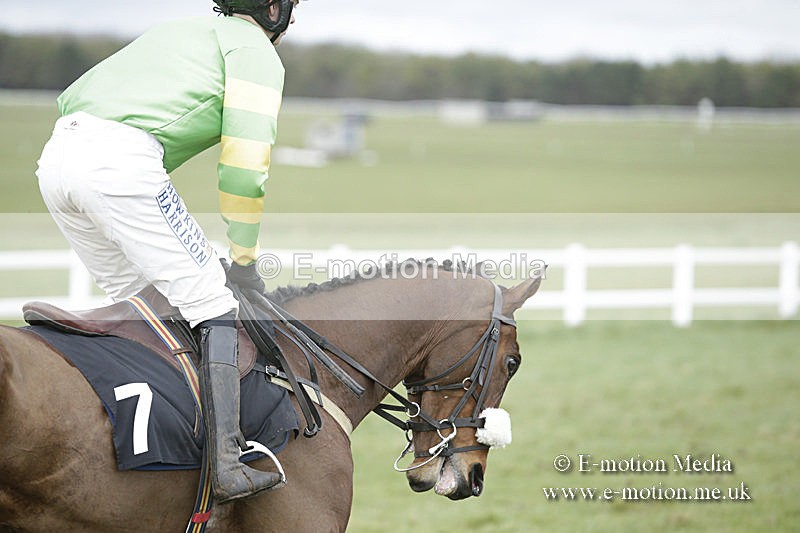 PtP 150320 0563 - New Forest Point-to-Point Larkhill 15/03/20