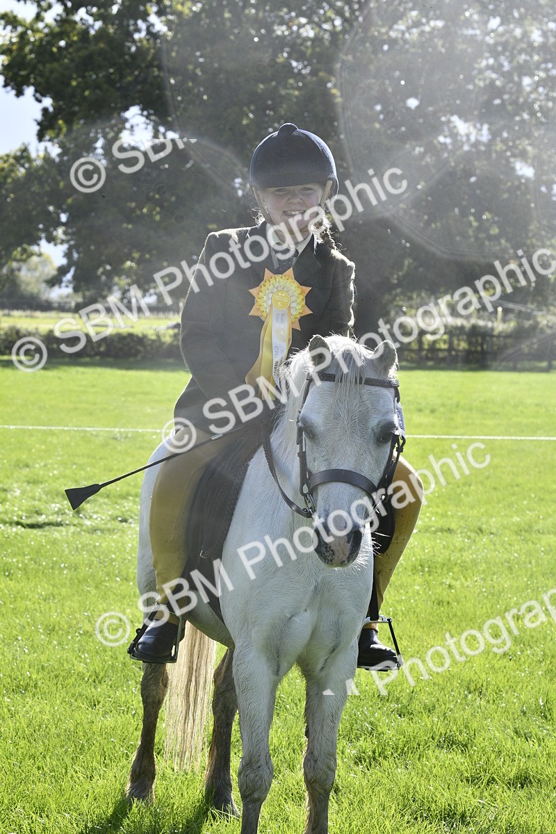 SBM_37242 - S31 - Novice & Newcomer Working Hunter Pony