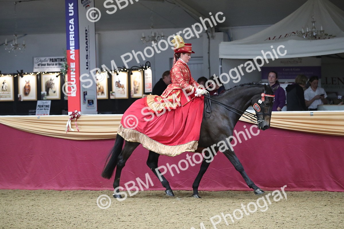 SBM_12117 - Class 107 Ridden Costume- Astride Adult (20+)