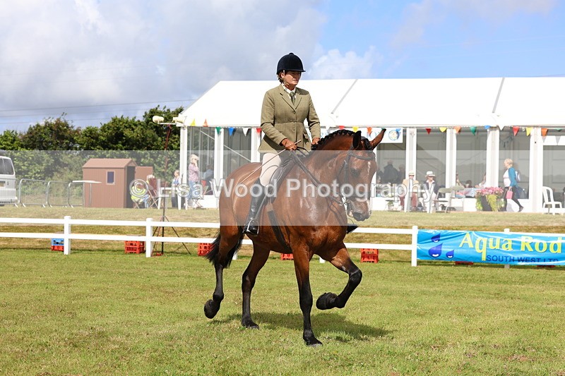 3E7A9393 - Class 4: Rising Star M/H Hunter