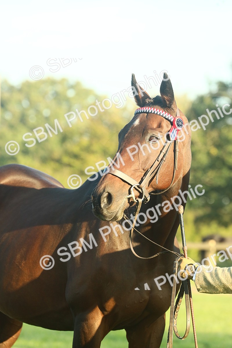 SBM_56648 - S36 - Starters Best Turnout