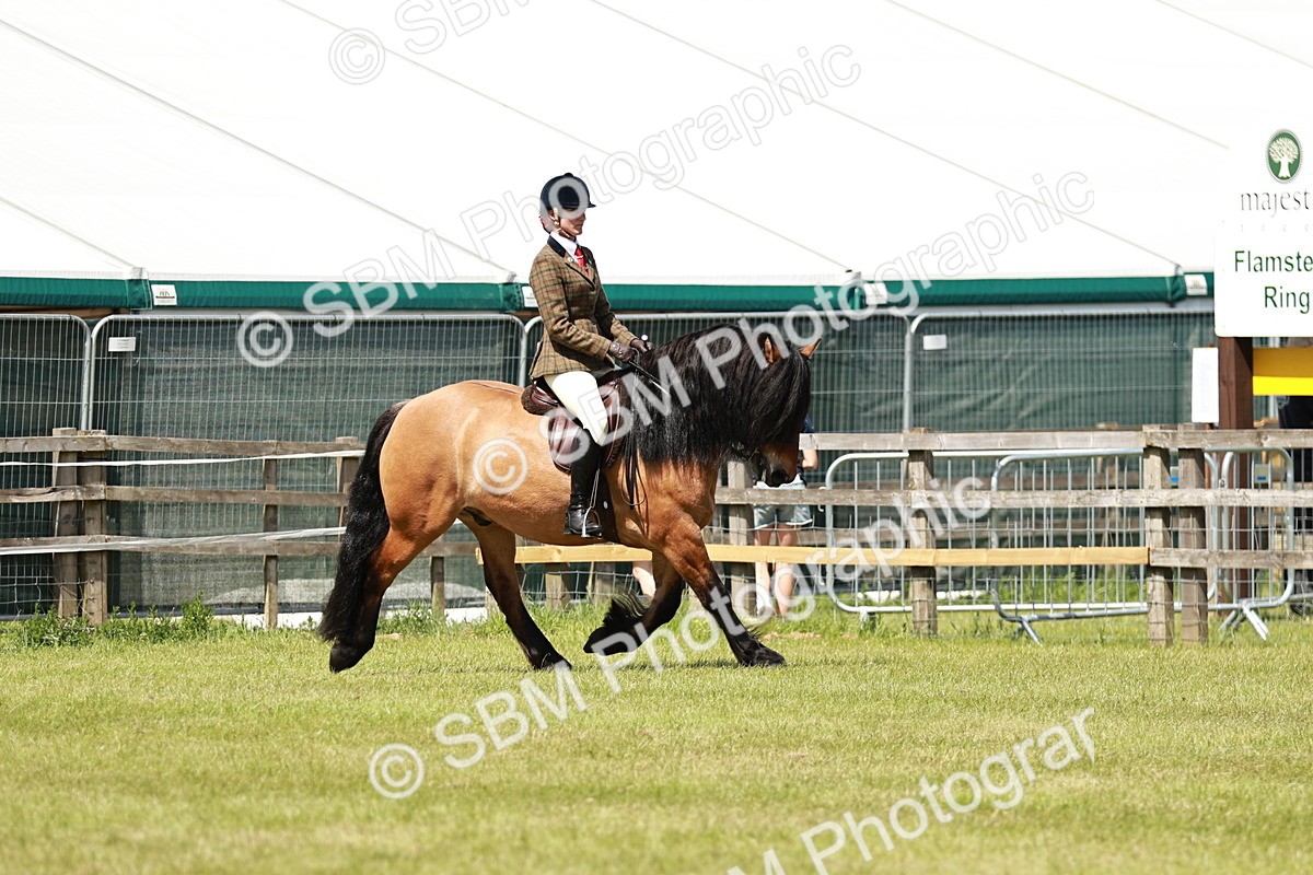 SBM_07098 - Class 26-30 - Mountain and Moorland Ridden
