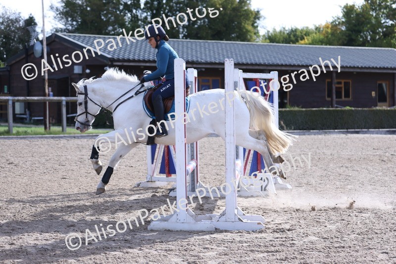 20251005-0336 - Class 3 - 60cm