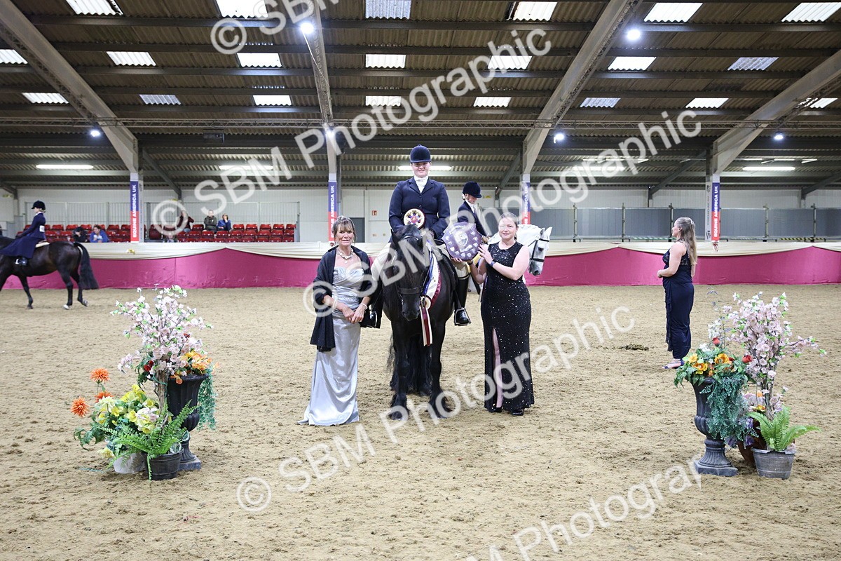 5K7A1498 - Class K Equitation Champ