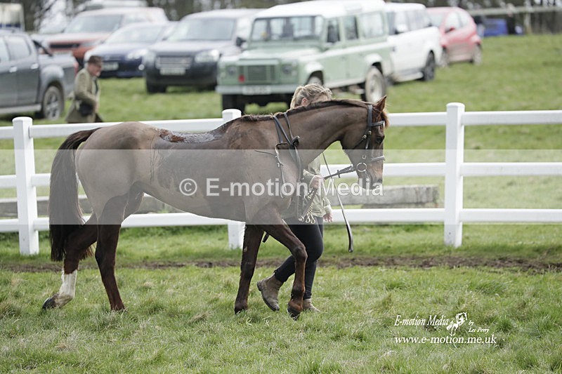 PtP 260323 1069 - New Forest Hounds Point-to-Point Larkhill 26/03/23