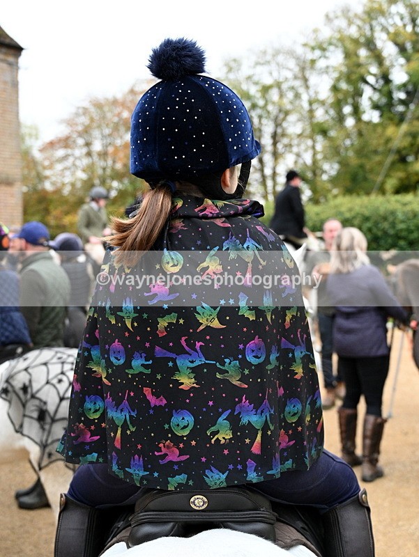 WJ7_6078 - Berks & Bucks - Children's Meet - The Old Farmhouse – Steventon.