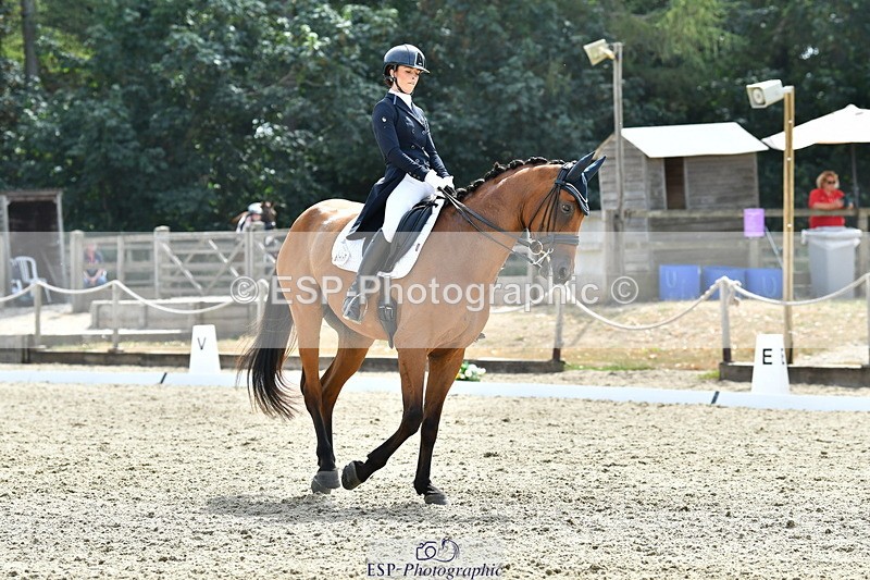 260802A-153427-07496 - Intermediate Bronze