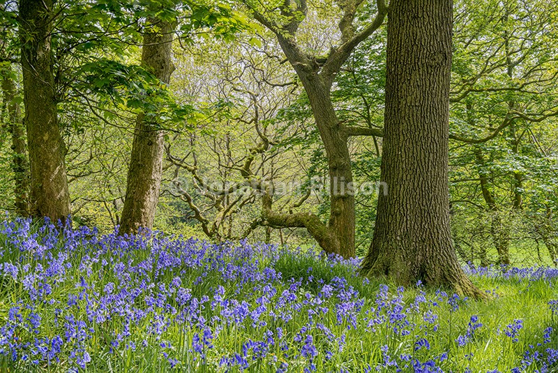  - Rivington And Surrounding Areas