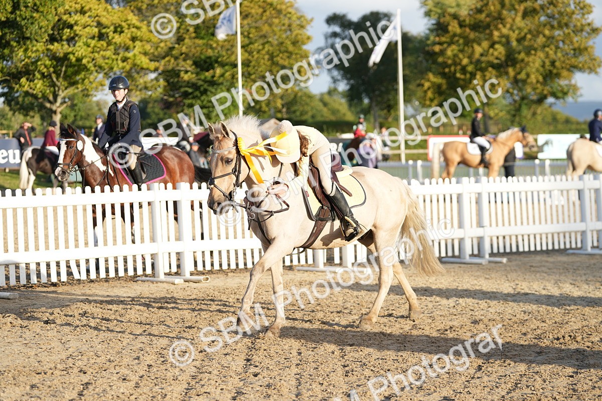 SBM_29557 - J44 - Horse & Hound Open 70cm