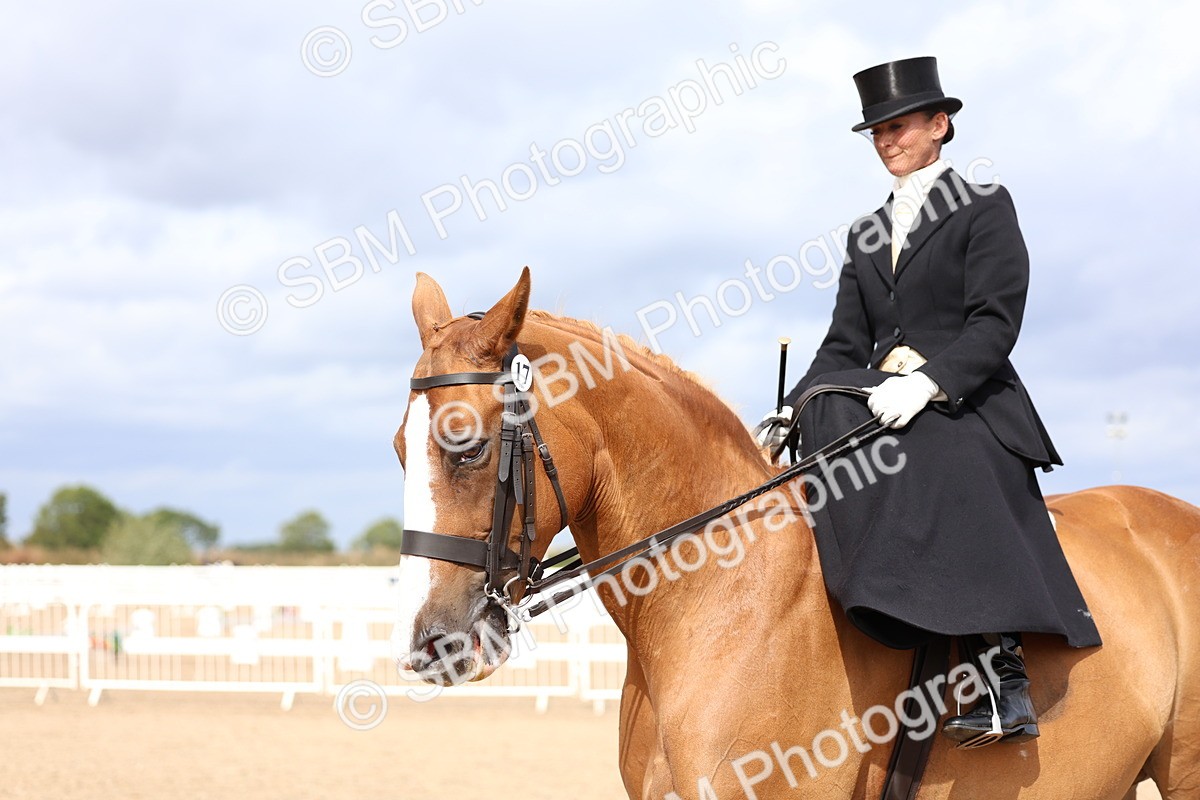 SBM_03465 - Class 24 - SSA Concours d'elegance (any age)