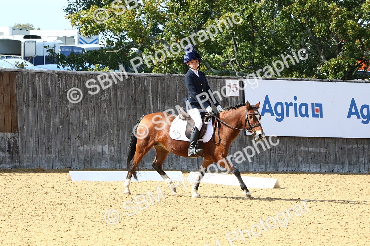 SBM_23582 - D5 - Small Tour Championshop Intro 2