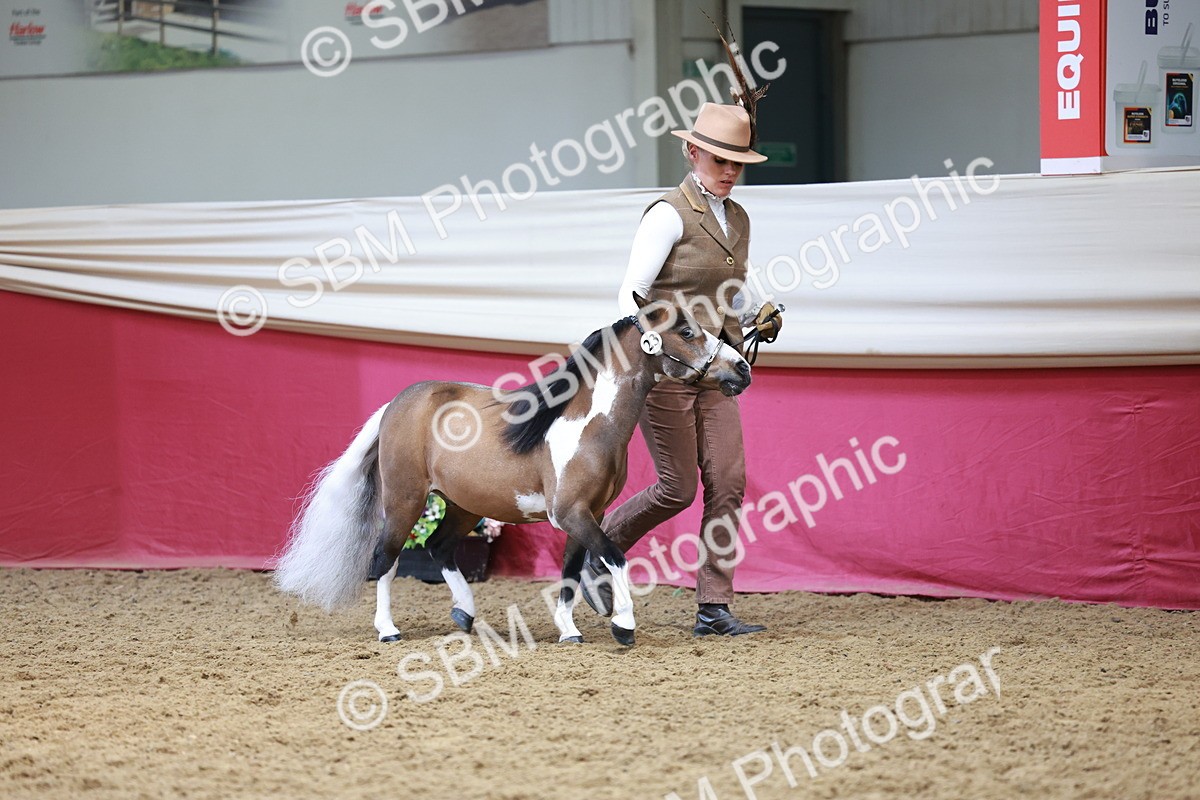 SBM_15719 - Class 110 - IH  Minature Horse