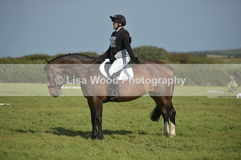 RAY_8070 - Class 2B: Trekenning Open: Dressage
