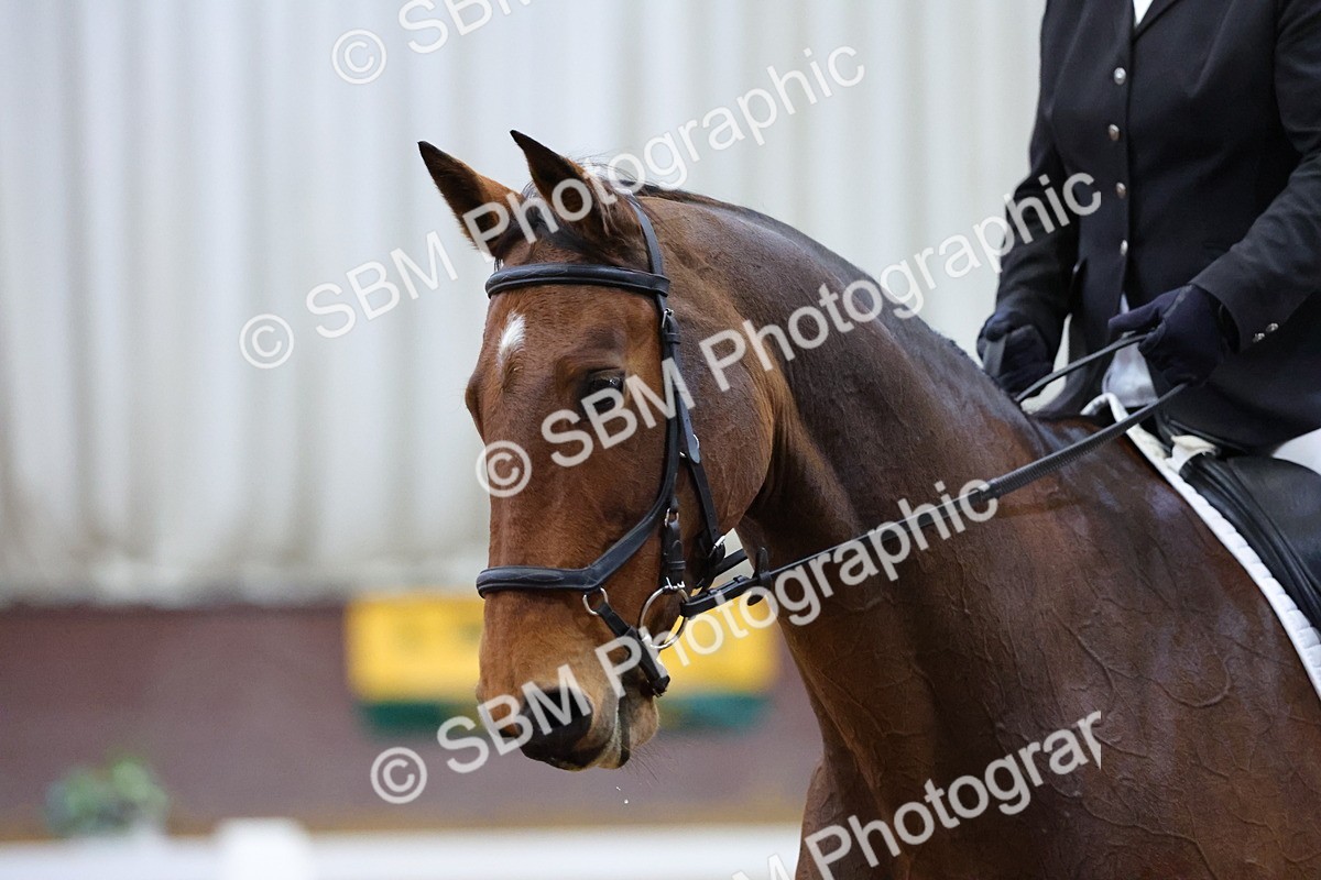 SBM_001019 - Novice