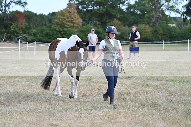 WJ7_8303 - In-hand Championship