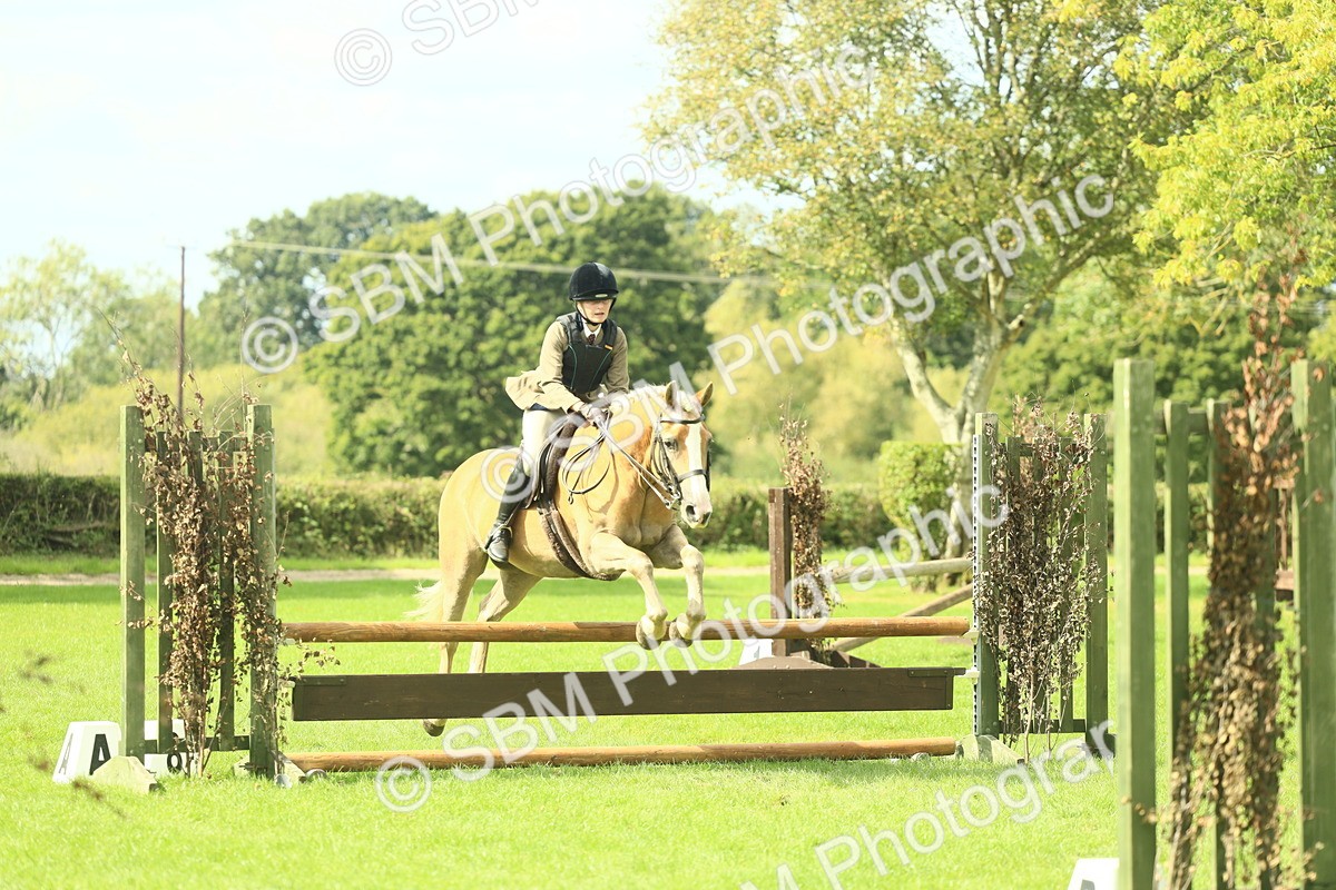 SBM_44716 - S31 - Working Hunter Pony