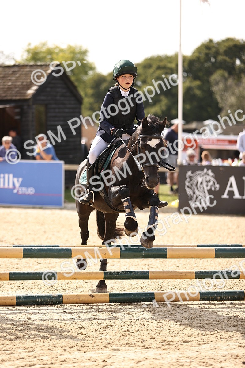 SBM_66948 - J13 - Junior Pony 60cm Championship