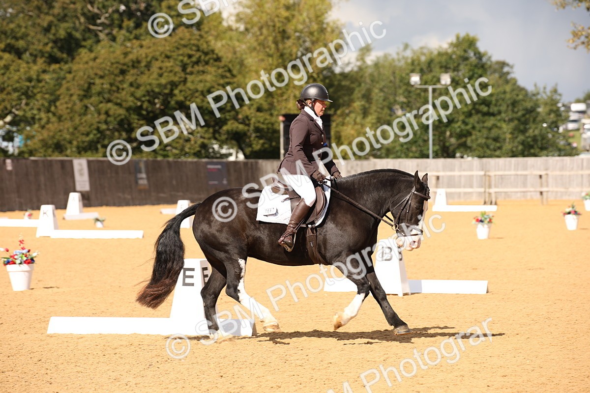 SBM_08884 - D8 Small Tour Championship Prelim 7