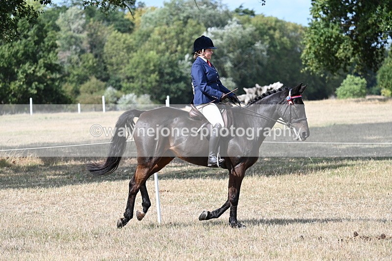 WJ7_6268 - Class 13 Ridden Veterans