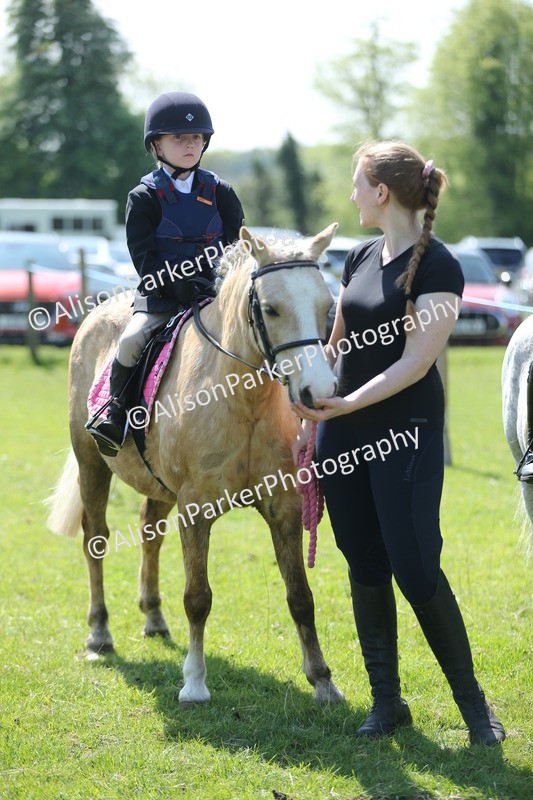 20250427-2716 - Class 6 - Pony Judge Would Most Like To Take Home