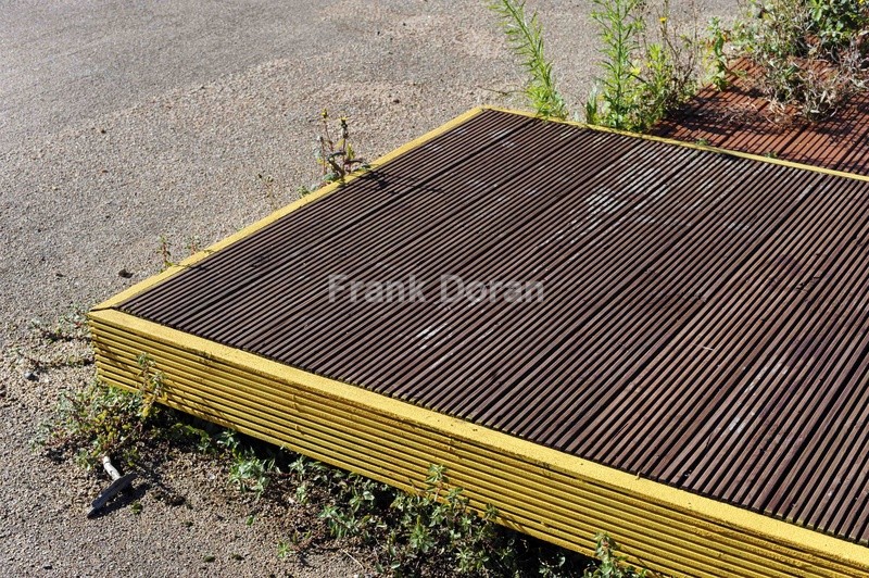 THIRTEEN - Frank Doran
