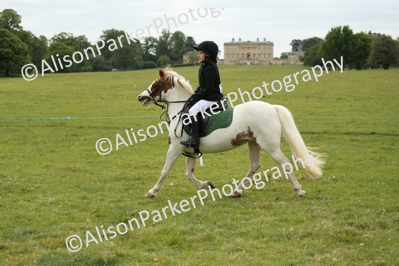 20250517-1190 - Class 21 - Novice Working Hunter