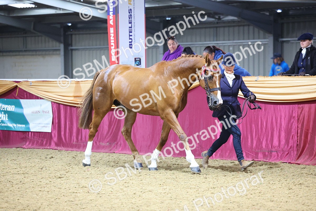 SBM_21003 - Class 902 - Supreme Final IH Veteran