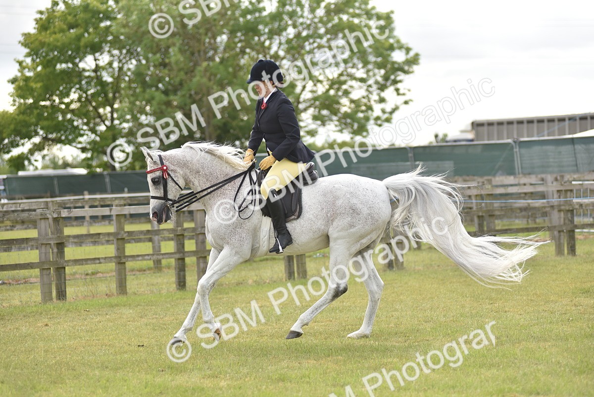 SBM_18164 - Class 122-123 - LIHS BHSA Raising Star Style and Performance Series