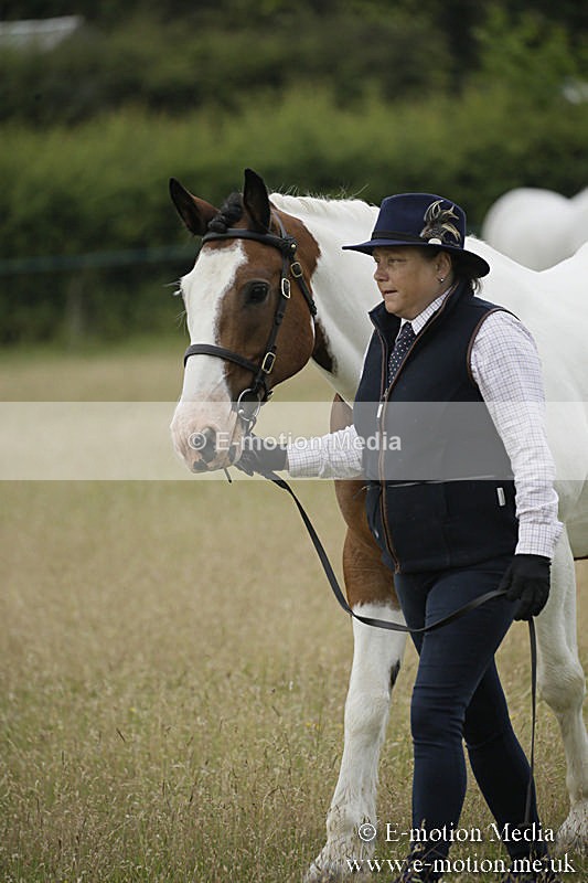 B230619-0228 - Bourne Valley Riding Club Summer Show 23/06/19