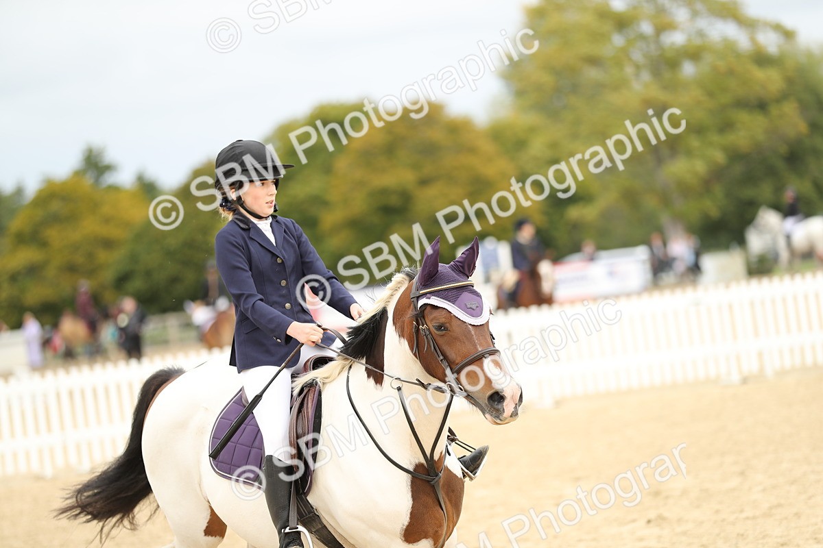 SBM_65670 - J48 - Pairs Jumping Open 70cm & 85cm