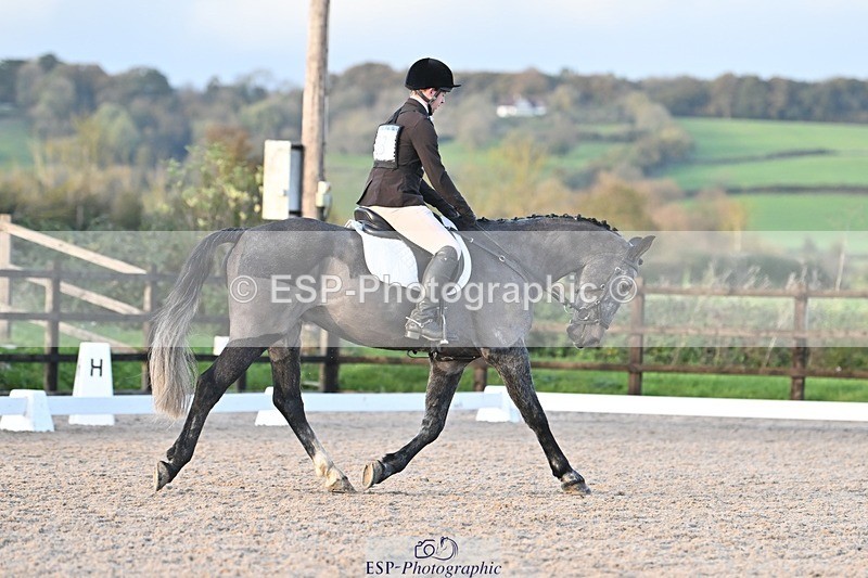 231105-155641-03986 - Cls 4 Novice 24 15.24 to 16.35 break