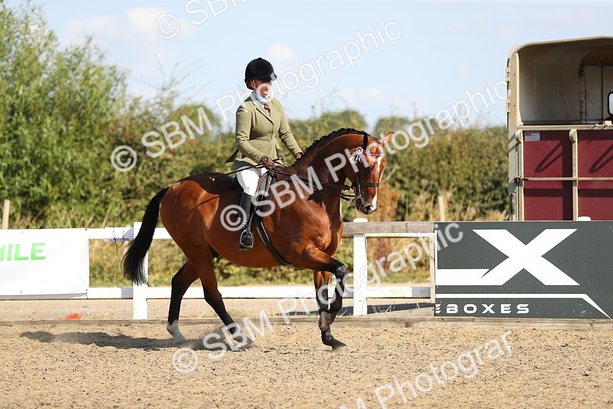SBM_02355 - Class 43 Ridden Competition Horse/Pony